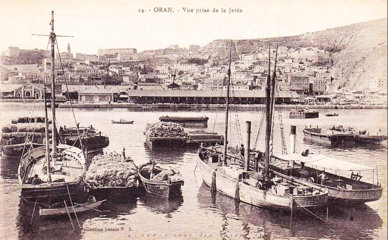 PO e- 397.jpg